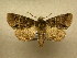  ( - 10-NCCC-265)  @14 [ ] No Rights Reserved (2010) Unspecified Research Collection of J. B. Sullivan