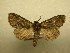  ( - 10-NCCC-267)  @14 [ ] No Rights Reserved (2010) Unspecified Research Collection of J. B. Sullivan