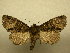  ( - 10-NCCC-268)  @14 [ ] No Rights Reserved (2010) Unspecified Research Collection of J. B. Sullivan
