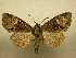  ( - 10-NCCC-269)  @14 [ ] No Rights Reserved (2010) Unspecified Research Collection of J. B. Sullivan