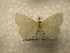  ( - 10-NCCC-470)  @12 [ ] No Rights Reserved (2010) James Sullivan Research Collection of J. B. Sullivan