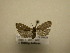  ( - 11-NCCC-376)  @11 [ ] No Rights Reserved (2011) JB Sullivan Research Collection of J. B. Sullivan