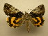 ( - 11-NCCC-727)  @13 [ ] No Rights Reserved (2011) JB Sullivan Research Collection of J. B. Sullivan