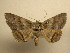  ( - 11-NCCC-792)  @11 [ ] No Rights Reserved (2011) JB Sullivan Research Collection of J. B. Sullivan