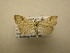  ( - 11-NCCC-936)  @13 [ ] No Rights Reserved (2011) JB Sullivan Research Collection of J. B. Sullivan
