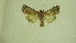  ( - 13-NCCC-131)  @12 [ ] No Rights Reserved (2013) James Sullivan Research Collection of J. B. Sullivan