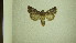  ( - 13-NCCC-132)  @12 [ ] No Rights Reserved (2013) James Sullivan Research Collection of J. B. Sullivan