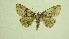  ( - 13-NCCC-134)  @12 [ ] No Rights Reserved (2013) James Sullivan Research Collection of J. B. Sullivan