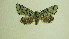  ( - 13-NCCC-146)  @12 [ ] No Rights Reserved (2013) James Sullivan Research Collection of J. B. Sullivan