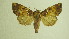  ( - 13-NCCC-158)  @13 [ ] No Rights Reserved (2013) James Sullivan Research Collection of J. B. Sullivan
