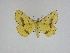  (Xanthotype sp - 14-NCCC-018)  @13 [ ] Unspecified (default): All Rights Reserved  Unspecified Unspecified