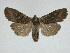  ( - 14-NCCC-036)  @12 [ ] Unspecified (default): All Rights Reserved  Unspecified Unspecified