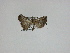  ( - 14-NCCC-050)  @12 [ ] Unspecified (default): All Rights Reserved  Unspecified Unspecified