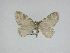  ( - 14-NCCC-051)  @13 [ ] Unspecified (default): All Rights Reserved  Unspecified Unspecified
