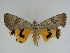  ( - 14-NCCC-062)  @13 [ ] Unspecified (default): All Rights Reserved  Unspecified Unspecified