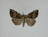  ( - 14-NCCC-069)  @13 [ ] Unspecified (default): All Rights Reserved  Unspecified Unspecified