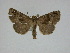  ( - 14-NCCC-132)  @14 [ ] Unspecified (default): All Rights Reserved  Unspecified Unspecified
