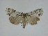  ( - 14-NCCC-136)  @14 [ ] Unspecified (default): All Rights Reserved  Unspecified Unspecified