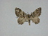  ( - 14-NCCC-159)  @12 [ ] Unspecified (default): All Rights Reserved  Unspecified Unspecified