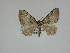  ( - 14-NCCC-160)  @12 [ ] Unspecified (default): All Rights Reserved  Unspecified Unspecified