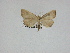  ( - 14-NCCC-181)  @11 [ ] Unspecified (default): All Rights Reserved  Unspecified Unspecified