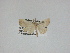  ( - 14-NCCC-184)  @12 [ ] Unspecified (default): All Rights Reserved  Unspecified Unspecified