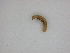  ( - 14-NCCC-190)  @12 [ ] Unspecified (default): All Rights Reserved  Unspecified Unspecified