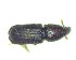  ( - BC-LNEF-2023-206)  @11 [ ] CreativeCommons Attribution (2023) Thomas Barnouin Unspecified