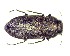 ( - BC-LNEF-2023-292)  @11 [ ] CreativeCommons Attribution (2023) Thomas Barnouin Unspecified