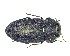  ( - BC-LNEF-2023-294)  @11 [ ] CreativeCommons Attribution (2023) Thomas Barnouin Unspecified