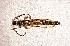  ( - BC-LNEF-2023-298)  @11 [ ] CreativeCommons Attribution (2023) Thomas Barnouin Unspecified