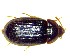  ( - BC-LNEF-2023-329)  @11 [ ] CreativeCommons Attribution (2023) Thomas Barnouin Unspecified