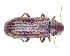  ( - BC-LNEF-2023-341)  @11 [ ] CreativeCommons Attribution (2023) Thomas Barnouin Unspecified