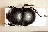  ( - BC-LNEF-2023-378)  @11 [ ] CreativeCommons Attribution (2023) Thomas Barnouin Unspecified