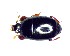  (Paromalus luderti - BC-LNEF-2025-514)  @11 [ ] CreativeCommons Attribution (2025) Thomas Barnouin Unspecified