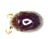 ( - BC-LNEF-2025-549)  @11 [ ] CreativeCommons Attribution (2025) Thomas Barnouin Unspecified