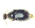  (Stagetus pilula - BC-LNEF-2025-552)  @11 [ ] CreativeCommons Attribution (2025) Thomas Barnouin Unspecified