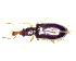  ( - BC-LNEF-2025-558)  @11 [ ] CreativeCommons Attribution (2025) Thomas Barnouin Unspecified