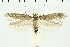  ( - NMPC-LEP-0570)  @11 [ ] by-nc-sa (2021) Jan Sumpich National Museum of Natural History, Prague