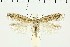  ( - NMPC-LEP-0581)  @11 [ ] by-nc-sa (2021) Jan Sumpich National Museum of Natural History, Prague