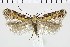  ( - NMPC-LEP-0675)  @11 [ ] by-nc-sa (2021) Jan Sumpich National Museum of Natural History, Prague