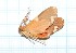  ( - CLV291)  @13 [ ] Copyright (2010) Unspecified Institut National de la Recherche Agronomique, Orleans, Forestry Zoology