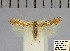  ( - CLV45710)  @12 [ ] Copyright (2010) A Research Collection of W. and J. De Prins
