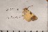  ( - CLV107910)  @12 [ ] Copyright (2010) Unspecified Institut National de la Recherche Agronomique, Orleans, Forestry Zoology