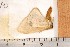  ( - CLV1156)  @12 [ ] Copyright (2010) Unspecified Institut National de la Recherche Agronomique, Orleans, Forestry Zoology