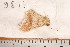  ( - CLV1186)  @12 [ ] Copyright (2010) Unspecified Institut National de la Recherche Agronomique, Orleans, Forestry Zoology