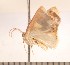  ( - CLV3100)  @12 [ ] Copyright (2010) David C. Lees Unspecified