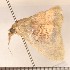  ( - CLV310711)  @13 [ ] Copyright (2010) David C. Lees Unspecified