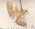  ( - CLV311011)  @12 [ ] Copyright (2010) David C. Lees Unspecified