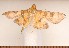  ( - CLV3160)  @12 [ ] Copyright (2011) David C. Lees Unspecified